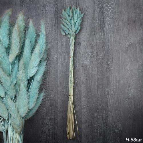 Сухоцвет 60 штук набор 68 см Лагурус / SG-011 /уп 300/бирюзовый