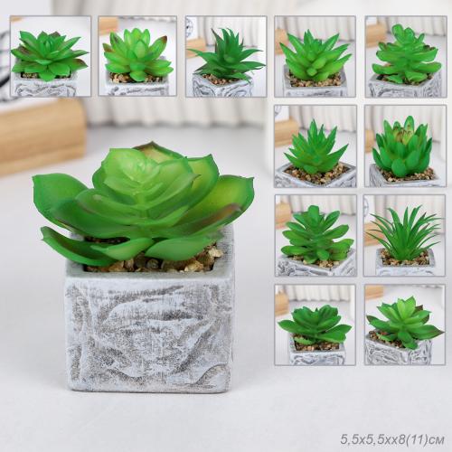 Цветочная композиция Кактус / WER-21 /уп 12/192/ микс