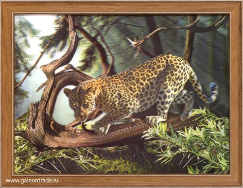 Картина 5D 30х40 175 На охоте/ ZR8210H-222411 / 