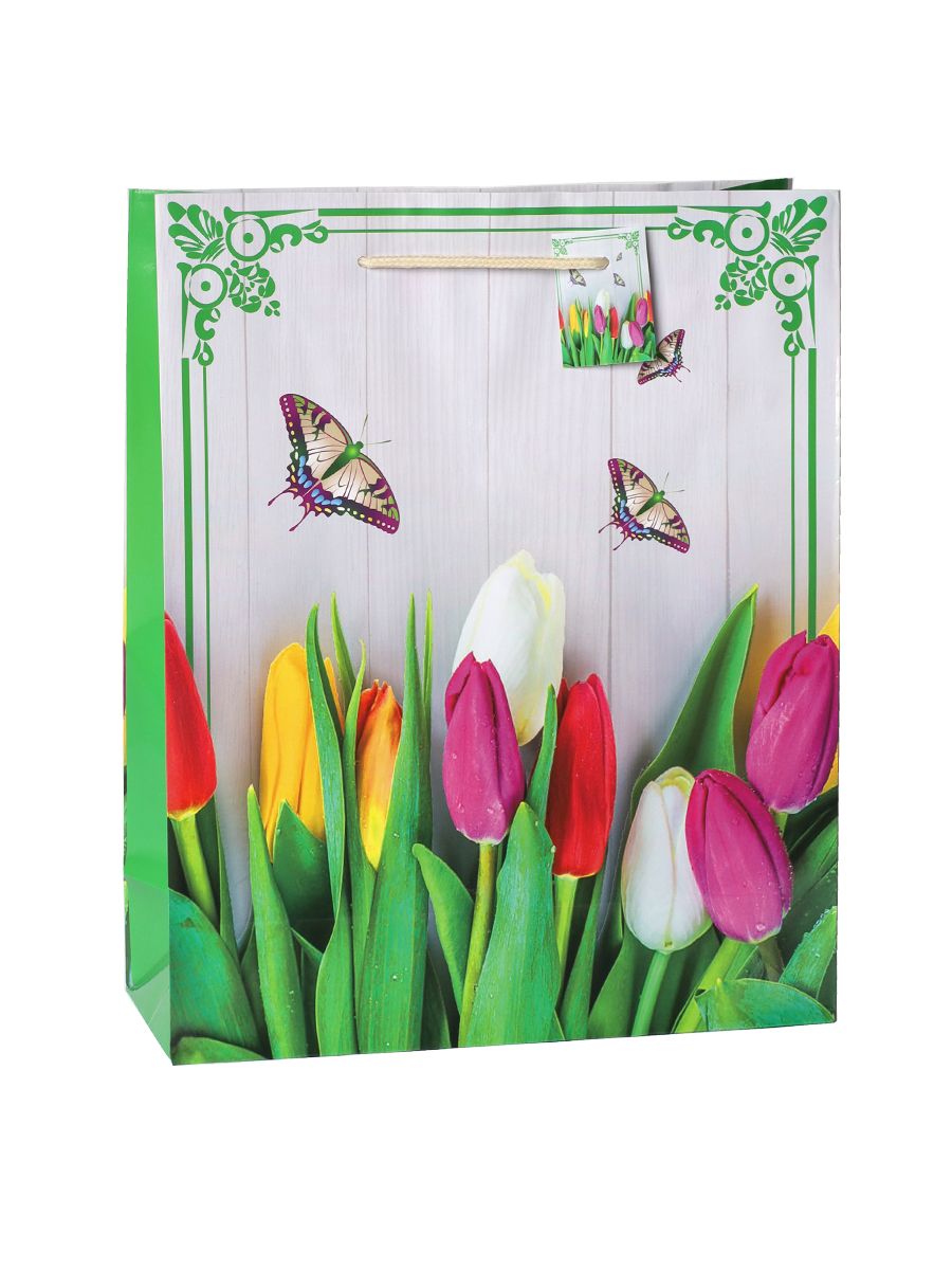 Пакет подарочный 26х32x10см / 1201-2 /уп 12/720/микс/128г/м2 / 732724