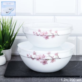 Форма для холодца с крышкой 2 предмета / SW2A (7196) /уп 18/ Сакура/722123