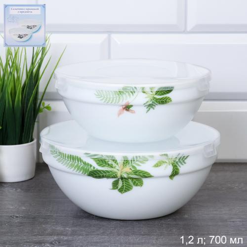 Салатник с крышкой 2 предмета / GRAY-SW2A (6750) /уп 18/ Тропики