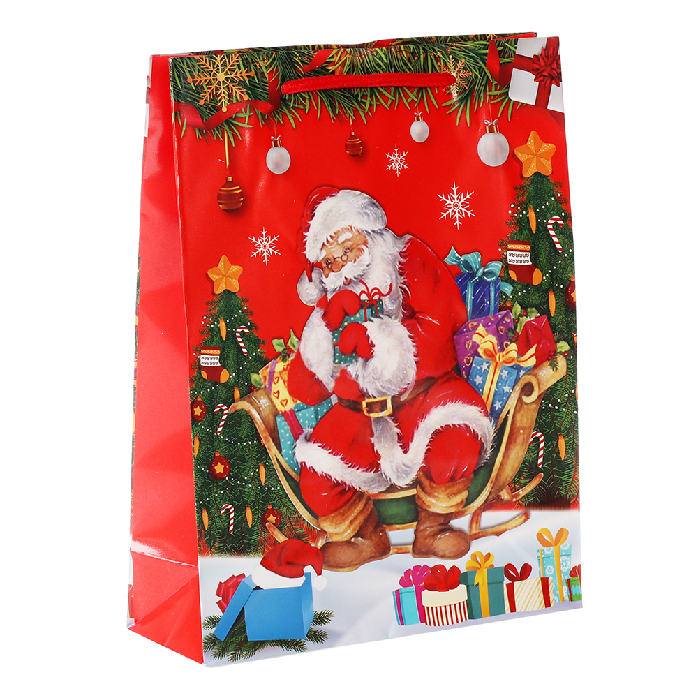 Пакет подарочный 18x24x7см Новогодний / 446S /уп 12/1500/микс/128г/м2
