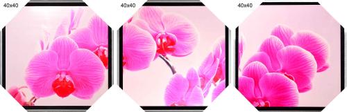 Картина-триптих 40х40 HA-298,299,300 / 2002B-012C /уп3/