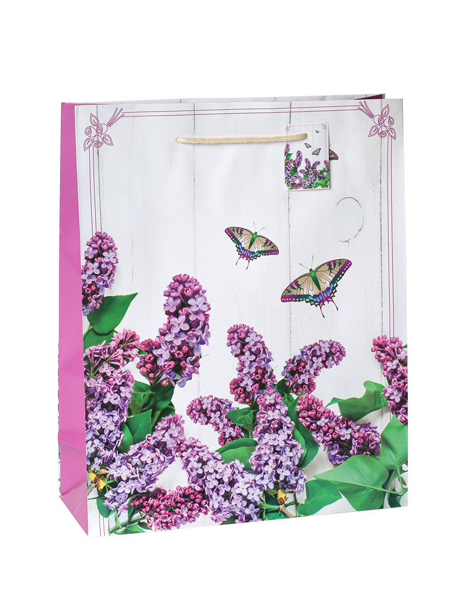 Пакет подарочный 26х32x10см / 1201-2 /уп 12/720/микс/128г/м2 / 732724