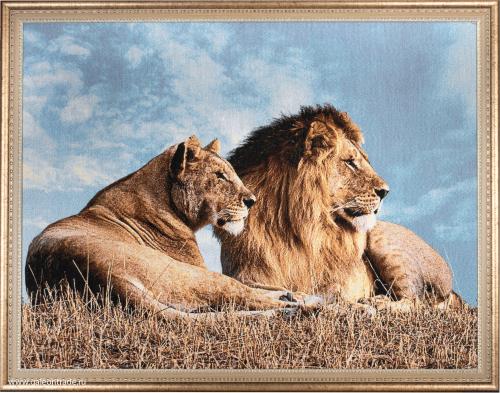 Картина гобелен 60х80  Львиная пара /D020 / KS4020-1 / 