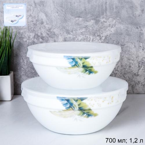 Салатник с крышкой 2 предмета / SW2A (7166) /уп 18/ Папоротник