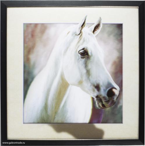 Картина 5D 40х40 074 Белогривый /KS1912-3 /