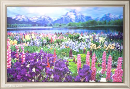 Картина 5D 40х60 094 Полевые цветы / ZR8845B-H39H23 /