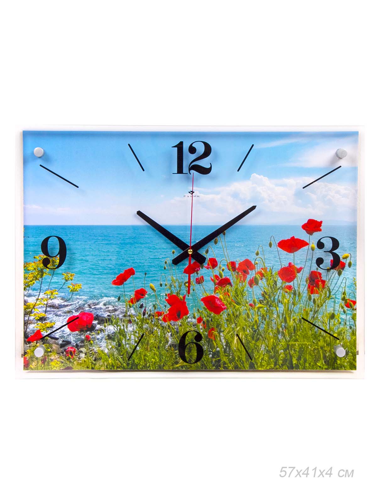 Часы-картина Маки 57x41 см / 4056-133 /уп 5/
