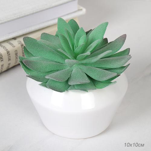 Цветочная композиция Кактус 10 см / JP-5 /уп 72/