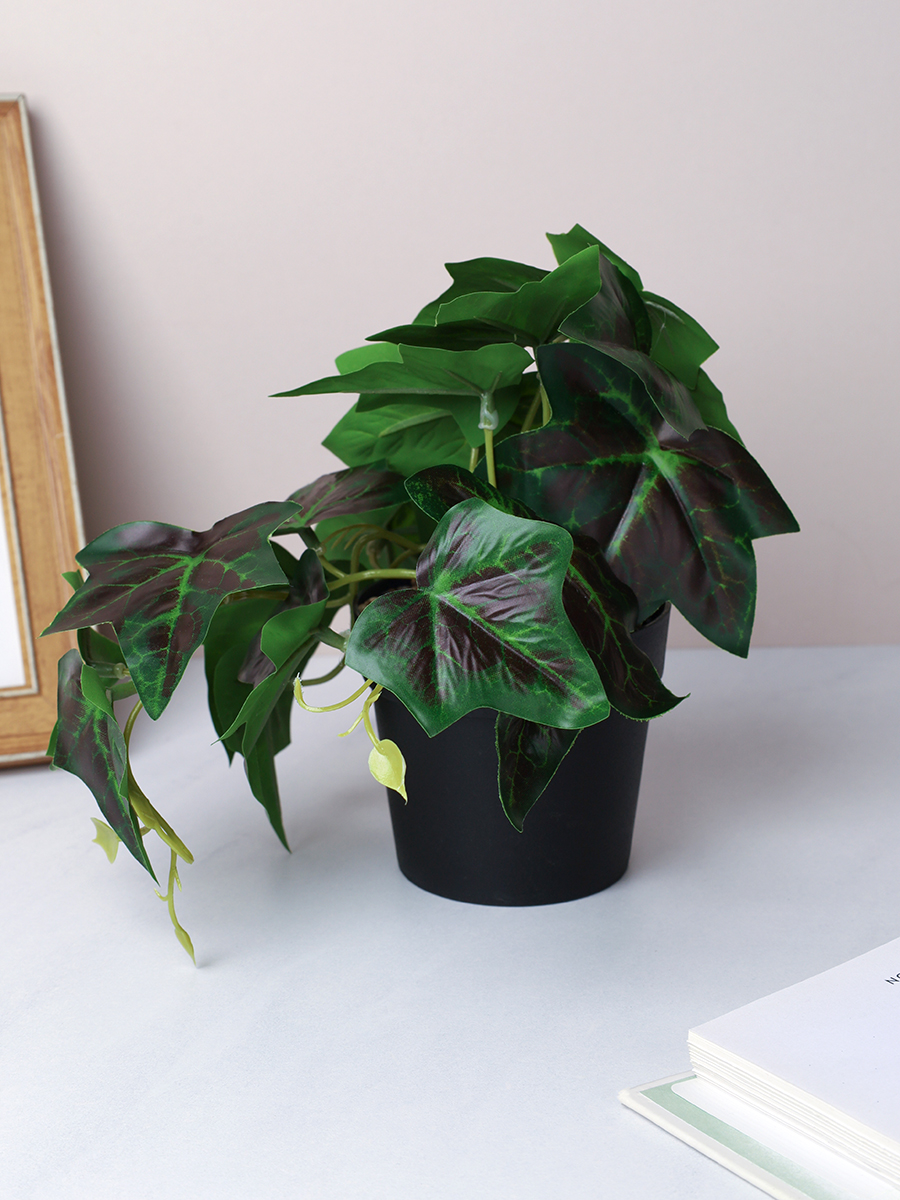 Цветочная композиция Зелень 15 см / LM-008 /уп 18/144/