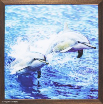 Картина 5D 40х40 MX-246 Дельфины в море / KS1912-1/