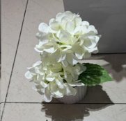 Цветочная композиция Гортензия 20 см / ED-300 /уп 12/72/