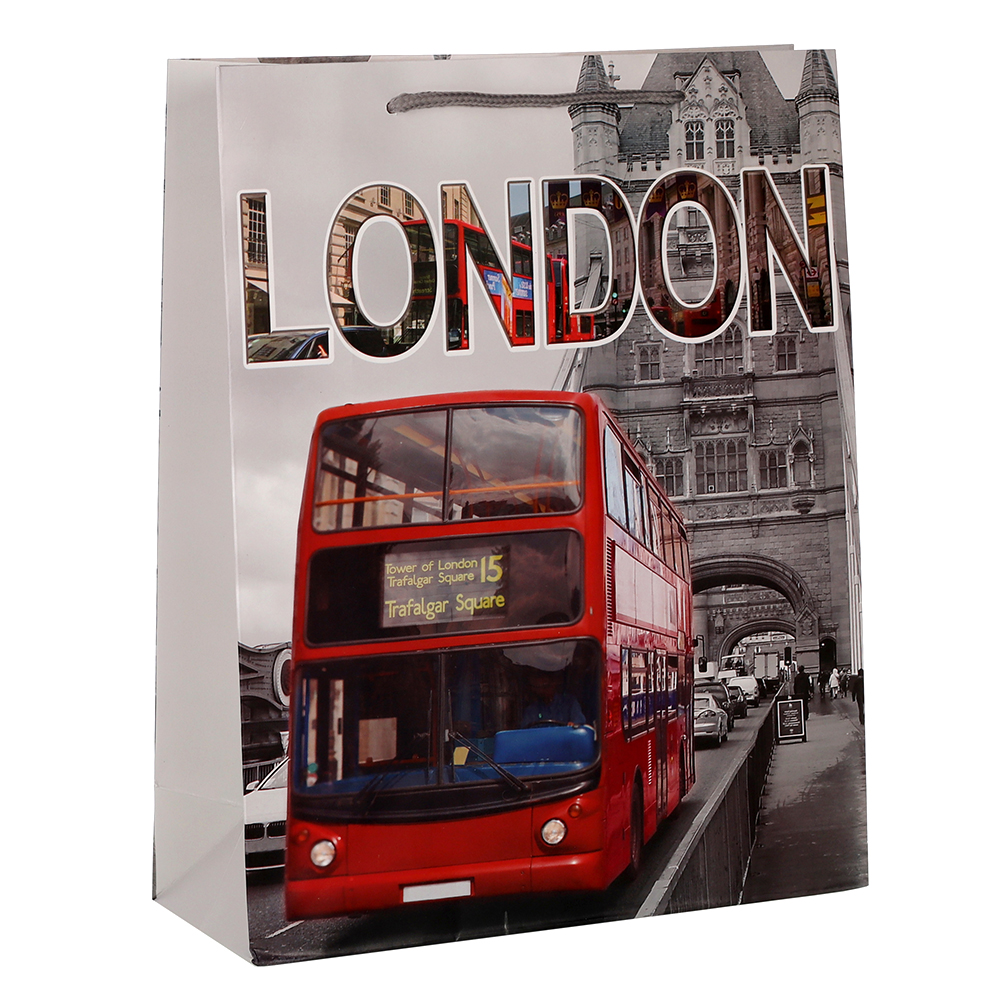 Пакет подарочный 26x32x10 / 24817M /уп 12/480/