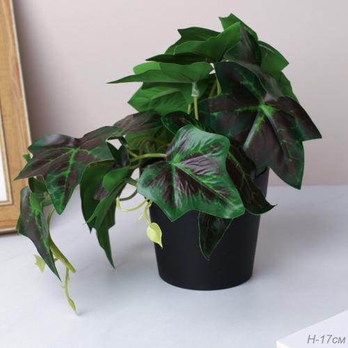 Цветочная композиция Зелень 15 см / LM-008 /уп 18/144/