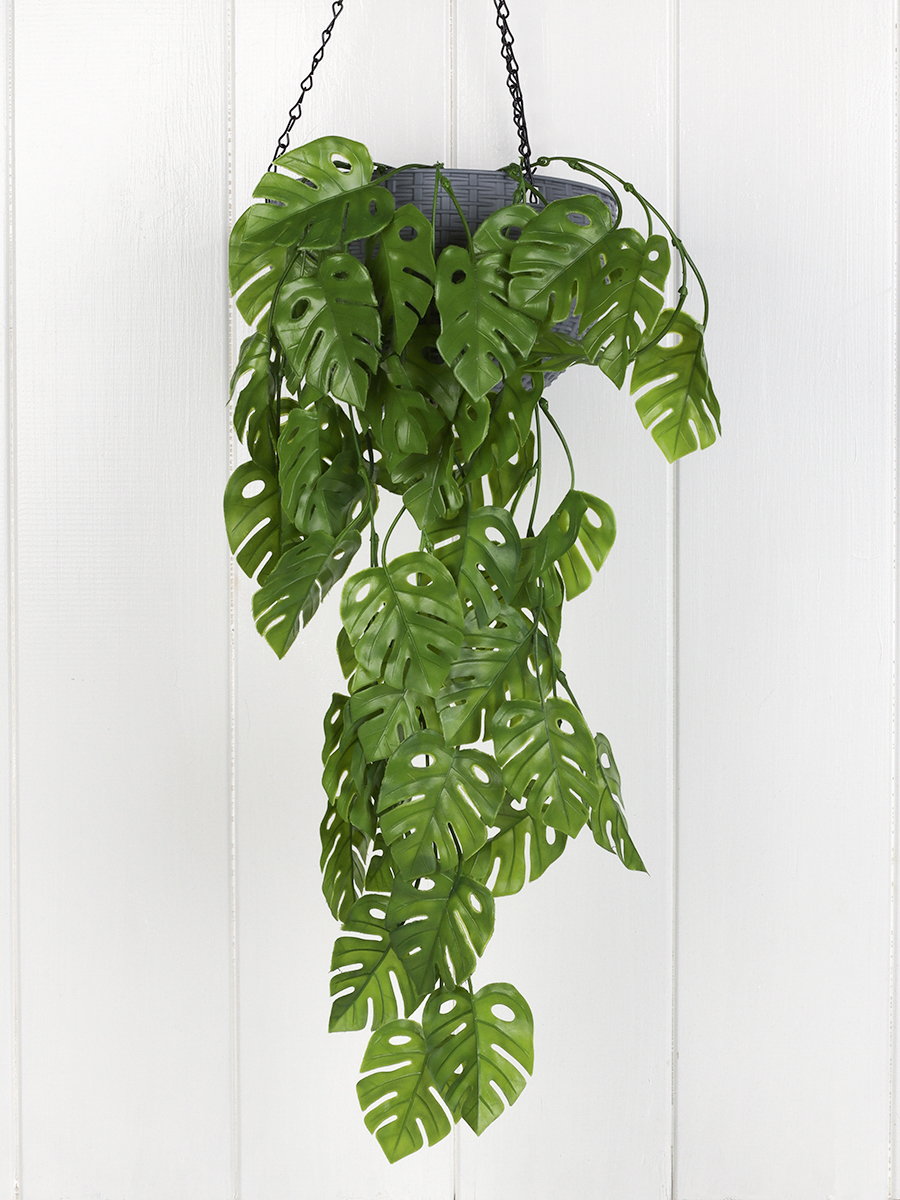 Зелень искусственная 78 см Монстера / 5-45-592P /уп 2/300/