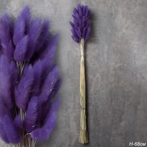 Сухоцвет 60 штук набор 68 см Лагурус / SG-009 /уп 300/лавандовый