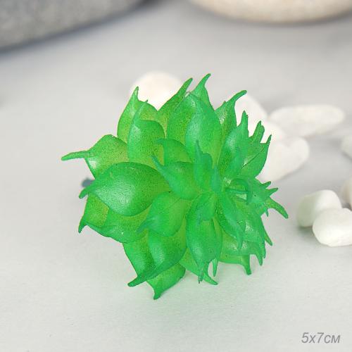 Суккулент искусственный 5х7 см / GN100 /уп 100/