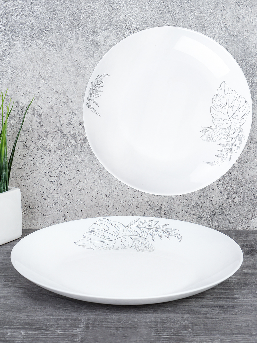 Тарелка 220 мм обеденная Евро Дэй / FLYGP85 (24203) /уп 6/48/ Графика лист