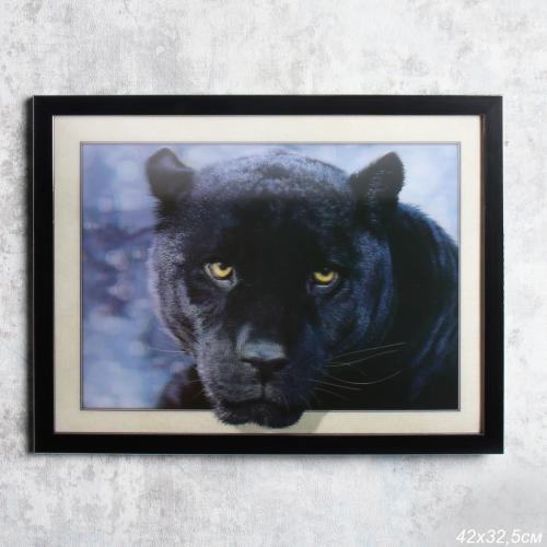 Картина 5D 30х40 165 Гепард  / KS1912-3 / 