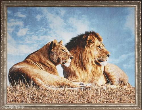 Картина гобелен 60x80  Лев и львица /D020 / YH6012-07 /