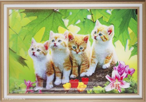 Картина 5D 40х60 101 Котята / YH976-1-03/