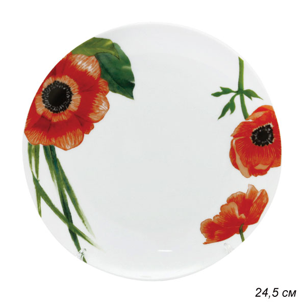 Тарелка обеденная 24,5 см BLOOMING / DM9141 /уп24/