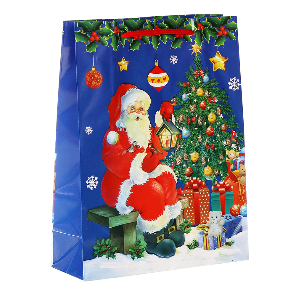Пакет подарочный 18x24x7см Новогодний / 446S /уп 12/1500/микс/128г/м2