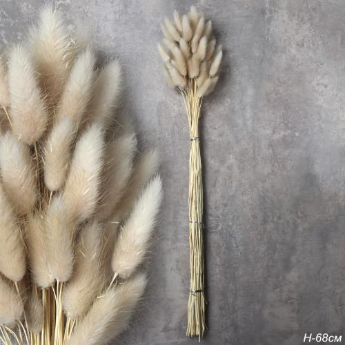 Сухоцвет 60 штук набор 68 см Лагурус / SG-010 /уп 300/бежевый