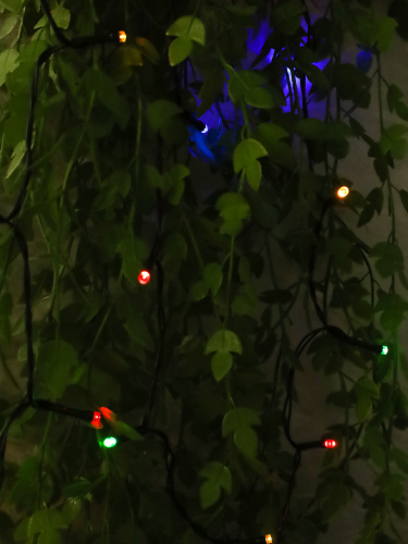 Гирлянда с питанием от солнечных элементов 10 м 100 лампочек 6 режимов / PM-5560/1 /уп 100/разноцветный