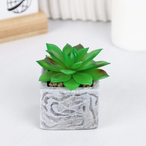 Цветочная композиция Кактус / WER-21 /уп 12/192/ микс