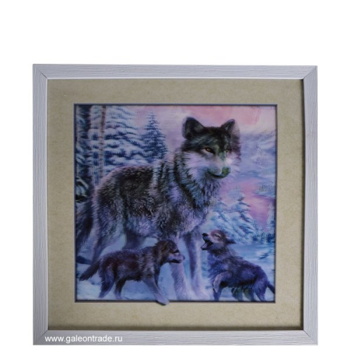 Картина 5D 40х40 5D149 Волчица / 2009C-012A / 
