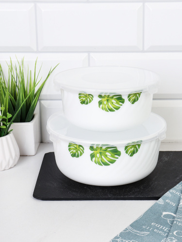 Салатник с крышкой 2 предмета 1100 л и 600 мл  / GRAY-HDW3B (7242) /уп 12/ Монстера