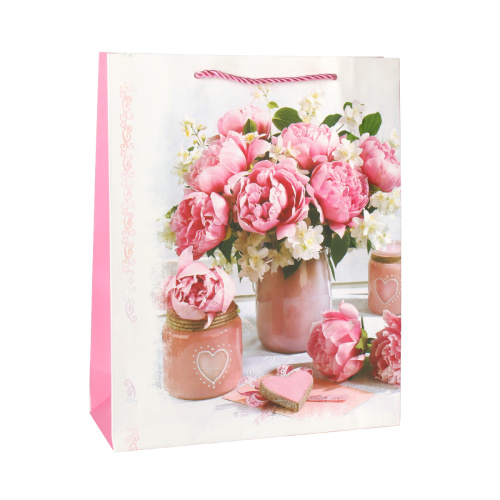 Пакет подарочный 26x32x10 / 24810M /уп 12/480/