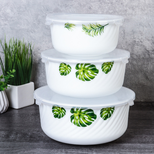 Салатник с крышкой 3 предмета / GRAY-HDW3B (7242) /уп 12/ Монстера