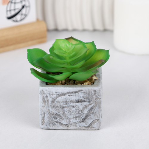 Цветочная композиция Кактус / WER-21 /уп 12/192/ микс