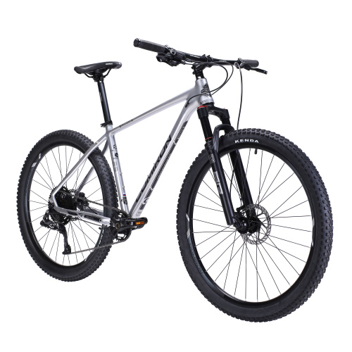 Велосипед горный COMIRON ZIRCON II 29-21", 1*12S, серебро SHINY QUIKSILVER