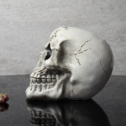 Копилка Череп 12 см / KY-28 /уп 48/Хэллоуин