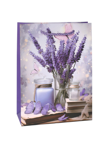 Пакет подарочный 24х18х8,5 / 9265-1 /уп 12/720/