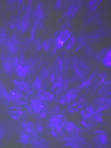 Проектор диско-шар ночник светодиодный классический, настольный 18х12 см / CW182609-18 /уп 36/