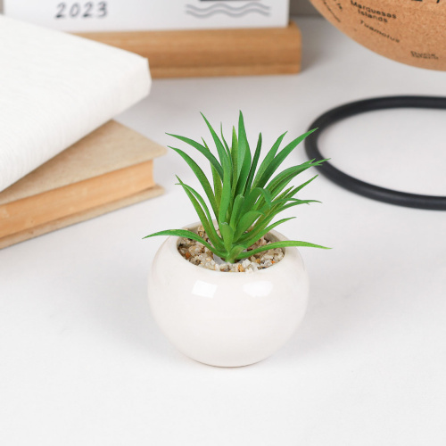 Цветочная композиция Кактус / FA2889 /уп 12/192/