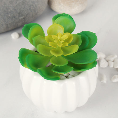 Суккулент искусственный 10х8 см / GN150 /уп 100/