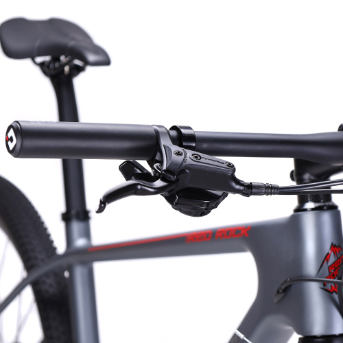 Велосипед горный 29" ZEON RED ROCK карбоновый 17',  L-TWOO 12SP 11-50T, AIR, оси, карбовтулки, гидравлика. цвет: серебристый silver singularity