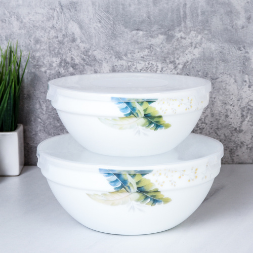 Салатник с крышкой 2 предмета / SW2A (7166) /уп 18/ Папоротник