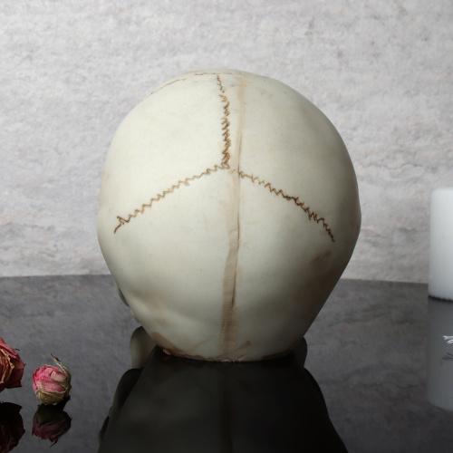 Статуэтка Череп LED 15 см / KY-18 /уп 24/Хэллоуин