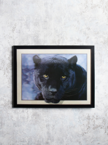 Картина 5D 30х40 165 Гепард  / KS1912-3 / 