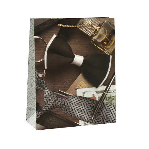 Пакет подарочный 24х18х8,5 23 февраля / 9348-1 /уп 12/720/