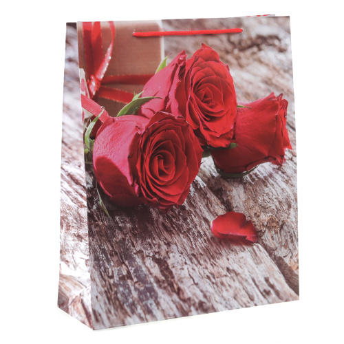 Пакет подарочный 26x32x9см / 462M /уп 12/960/микс/128г/м2