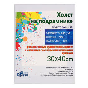 Холст 30х40 грунтованный  на подрамнике для рисования 